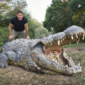 Steve Backshall