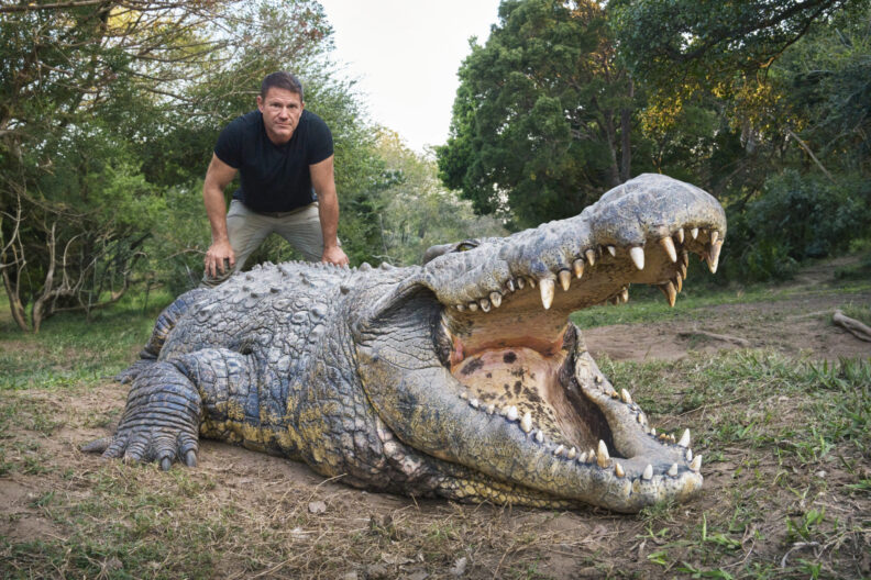Steve Backshall