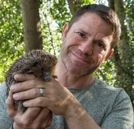 Hedgehog