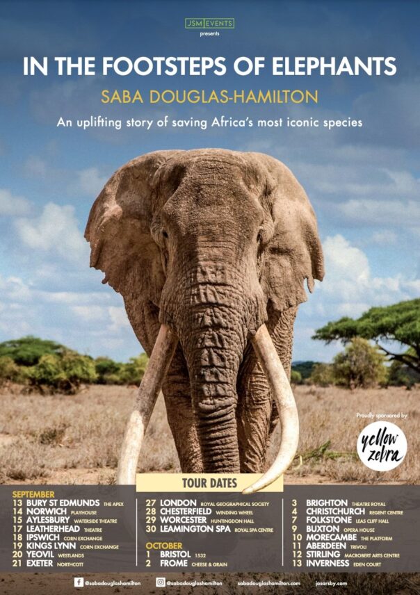 In The Footsteps Of Elephants