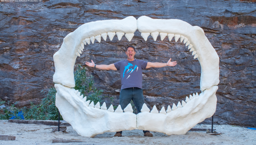 BBC Natural History