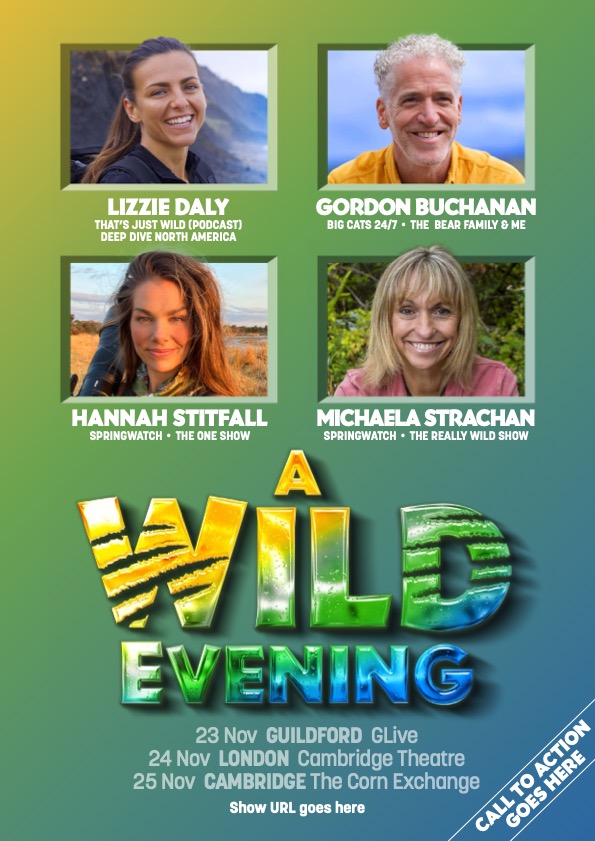 A Wild Evening