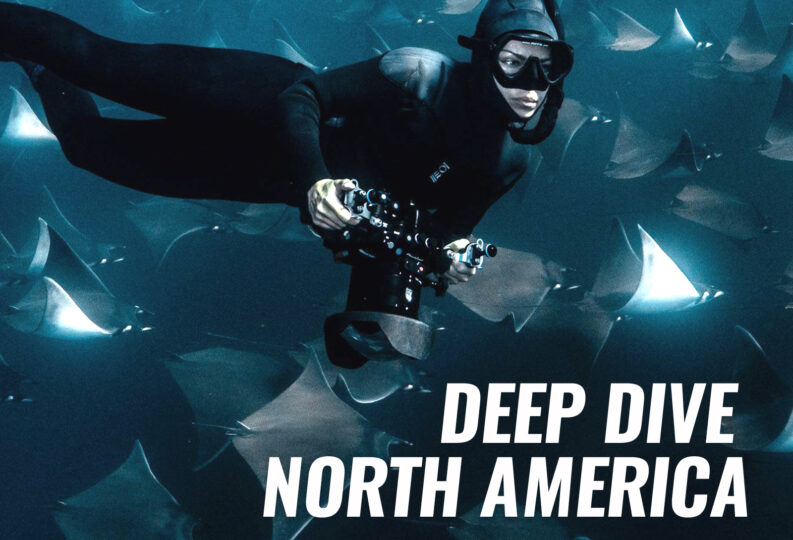 Deep Dive North America with Lizzie Daly